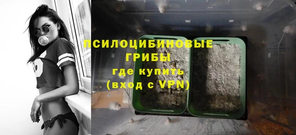 ешки Армянск