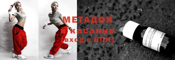 прущие грибы Алзамай