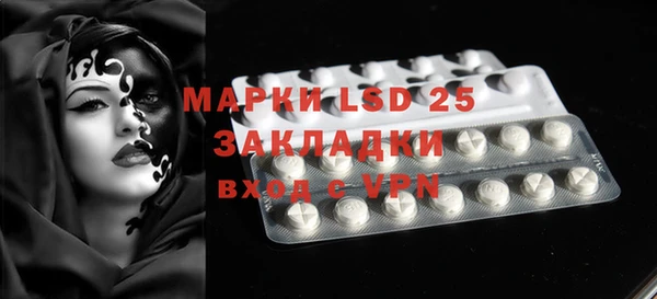 индика Арсеньев