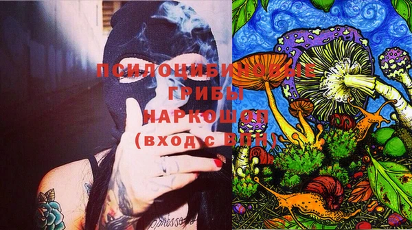 индика Арсеньев