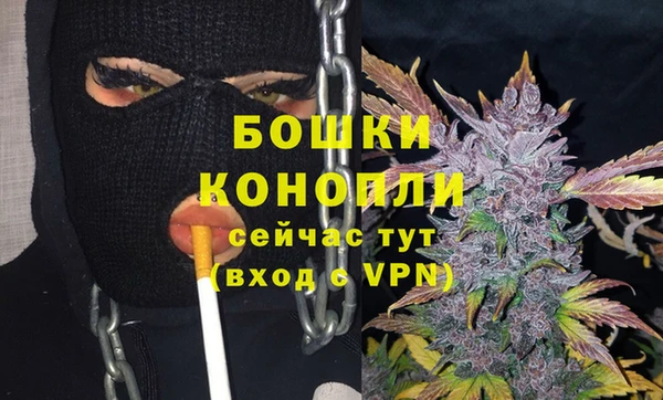 индика Арсеньев