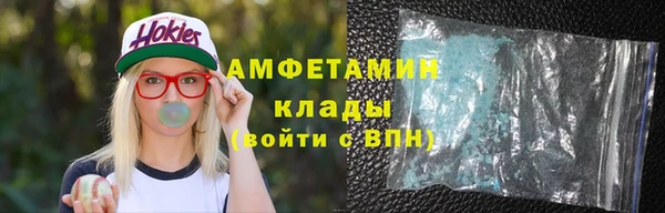 индика Арсеньев